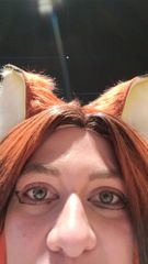 Nick Wilde preview 2