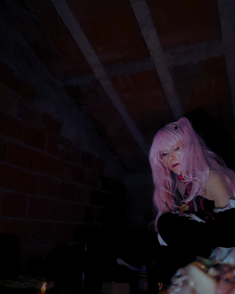 Halloween 2024 - Photo 2