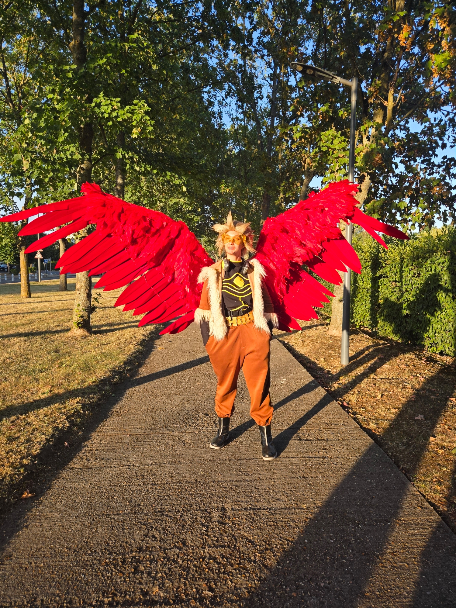 Hawks — photo 126