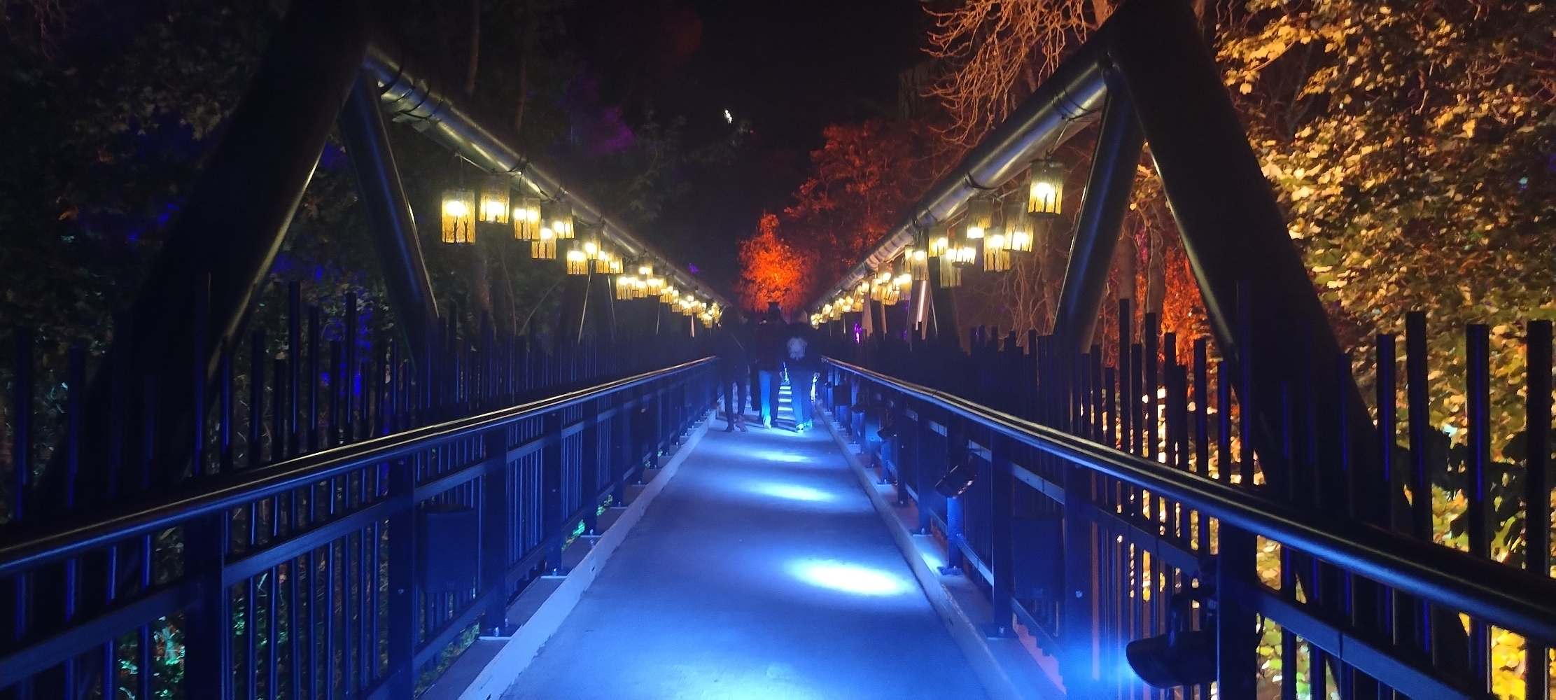 La forêt interdite - Photo 51