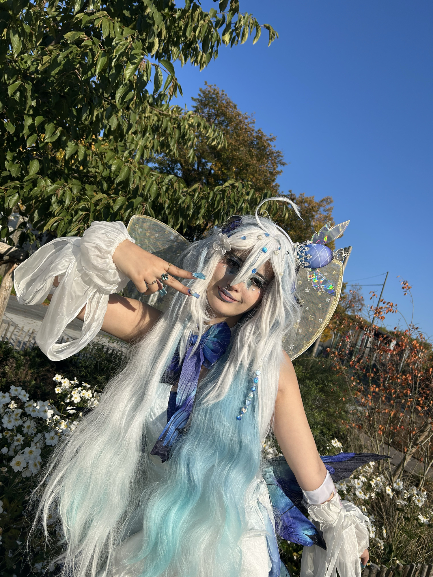 Miku butterfly  - Photo 4