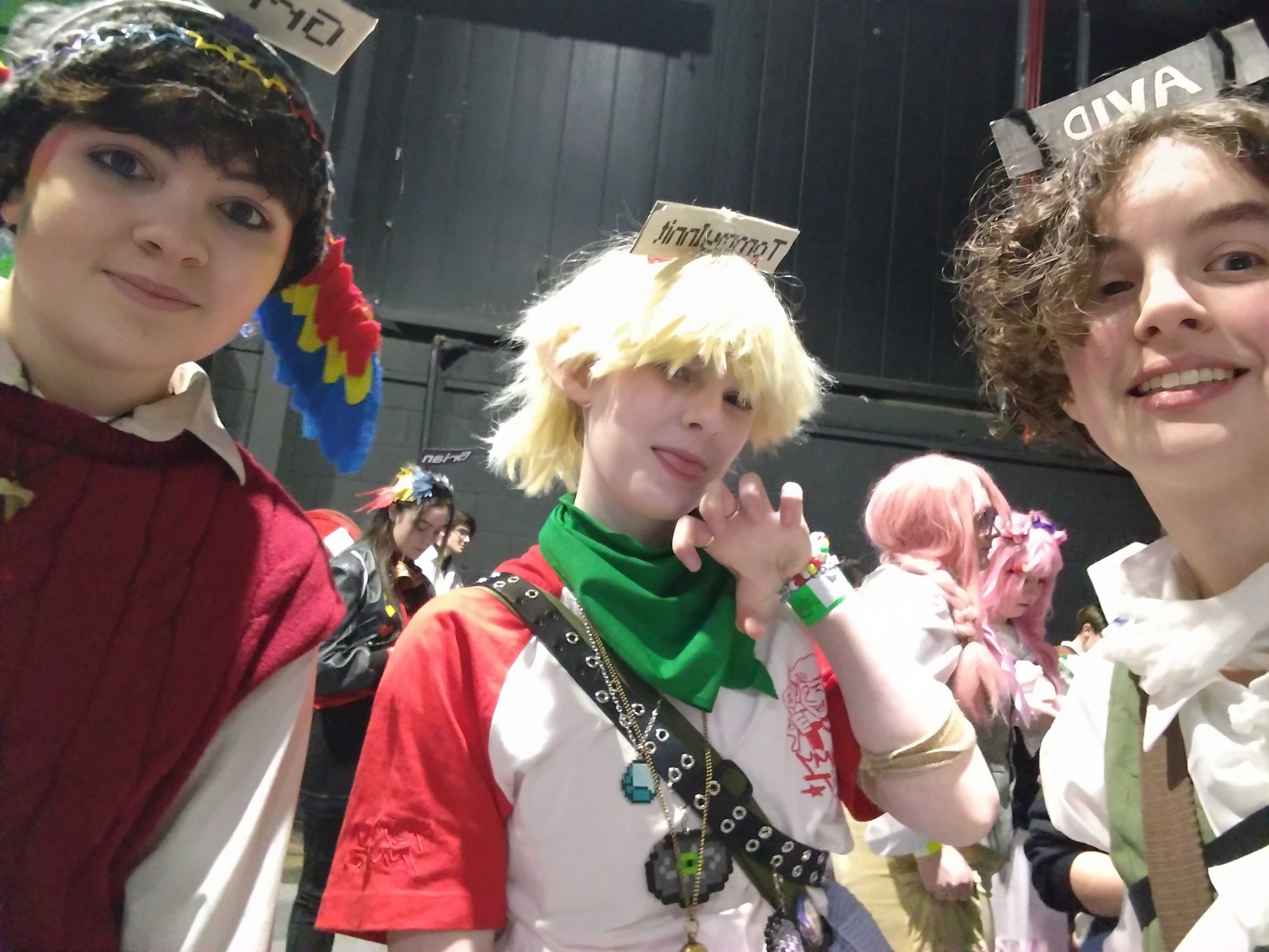 Dublin megacon '26 — photo 20
