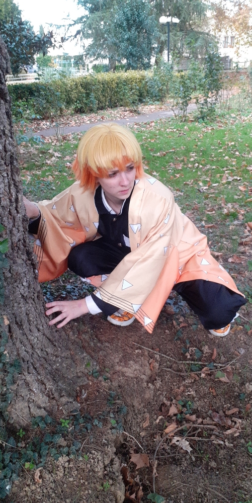 Zenitsu Agatsuma  - Photo 7