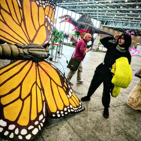 Aizawa 🦋