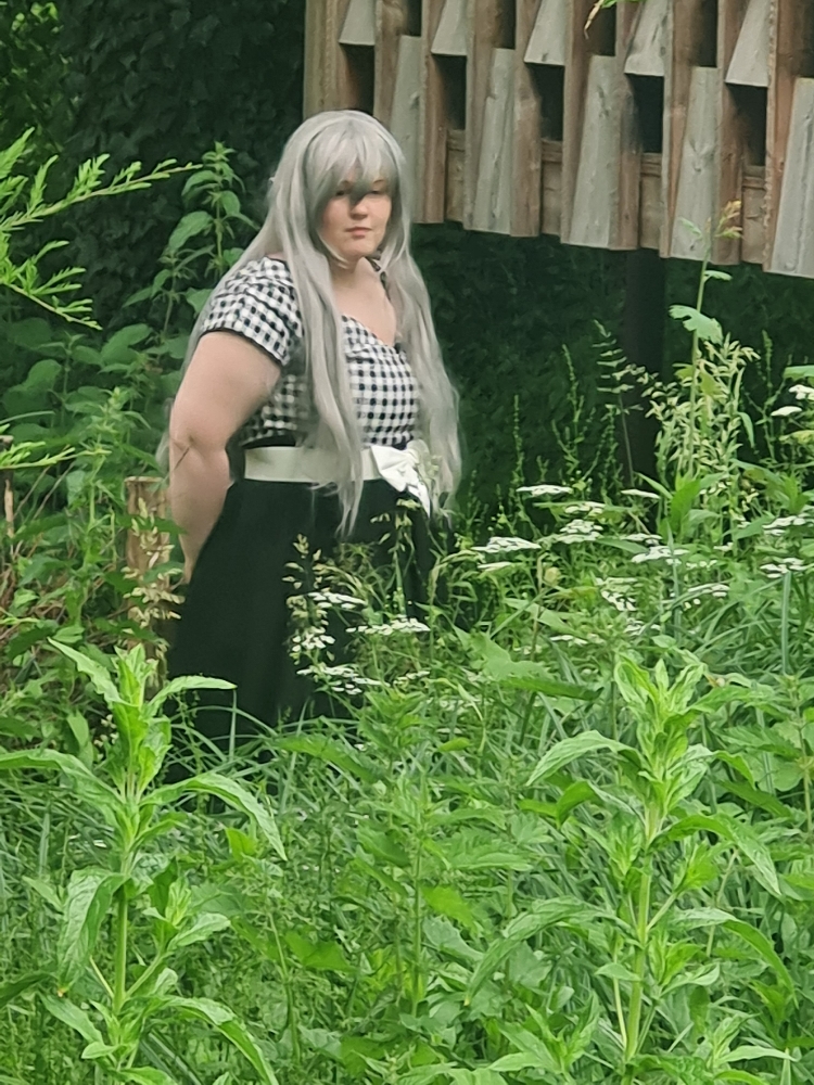 Corrin fire emblem  - Photo 6