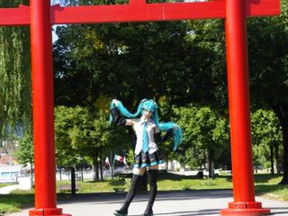 Miku preview 3