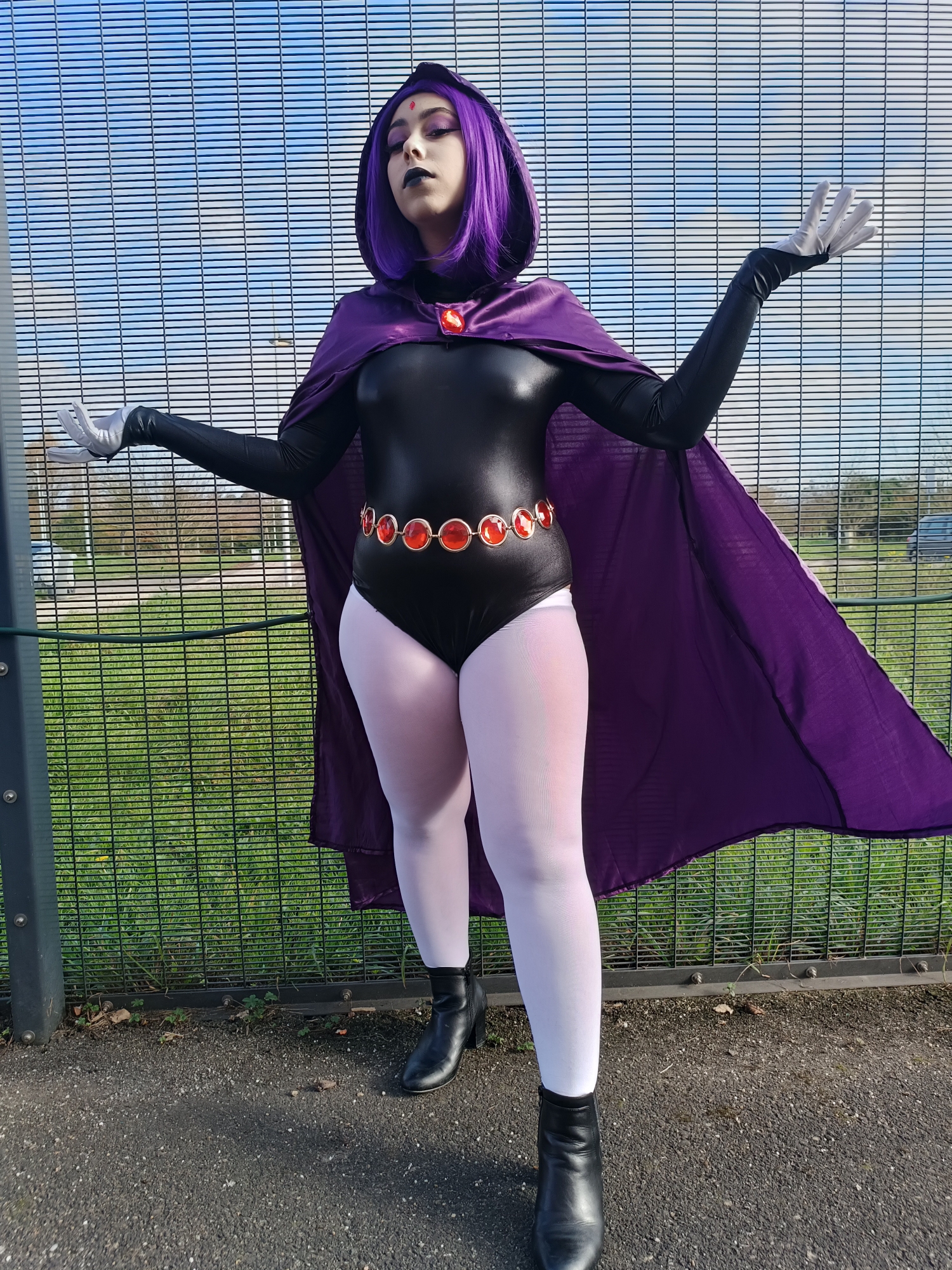Raven — photo 11