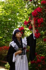 Japan Party preview 2