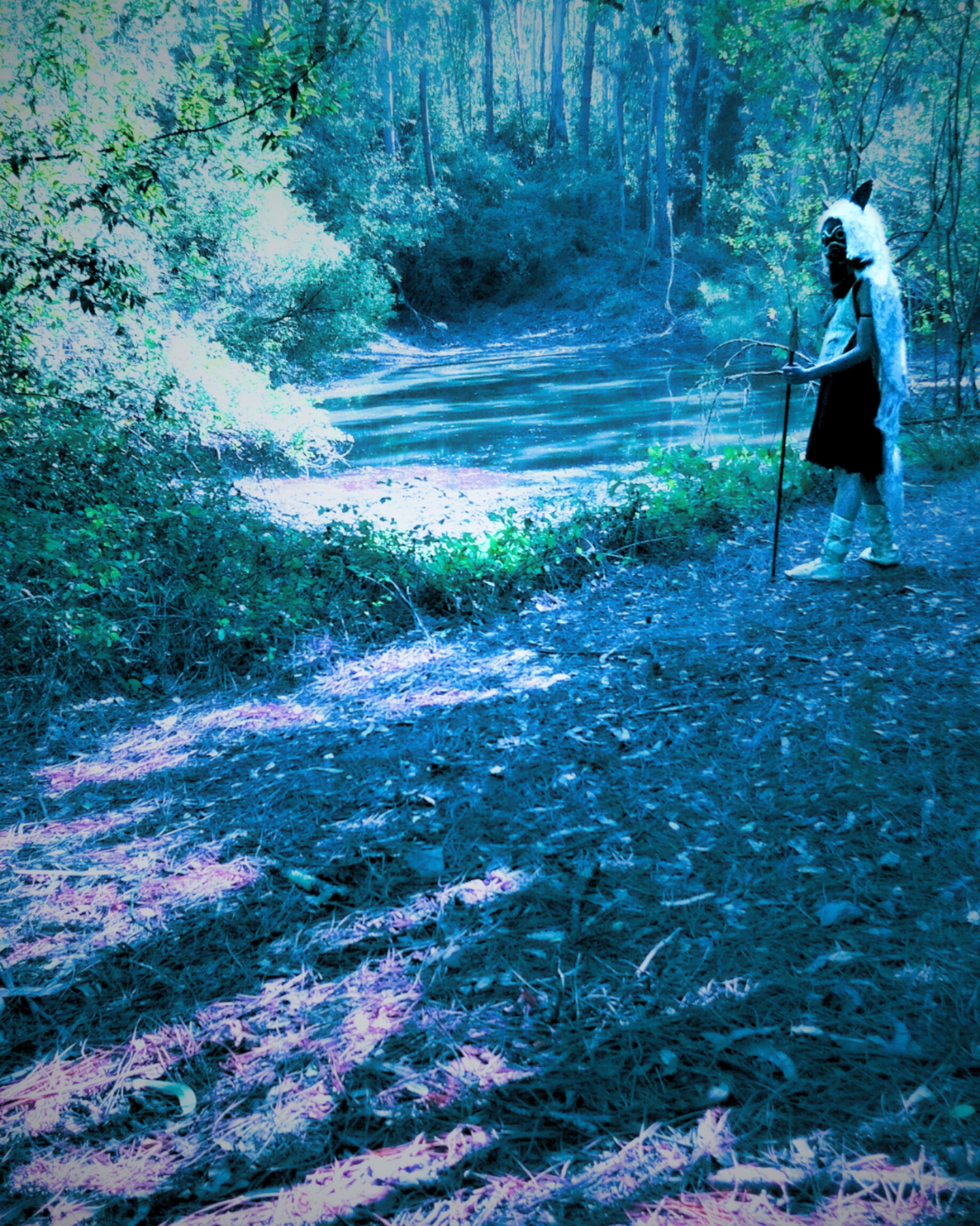 Princess Mononoke — photo 7