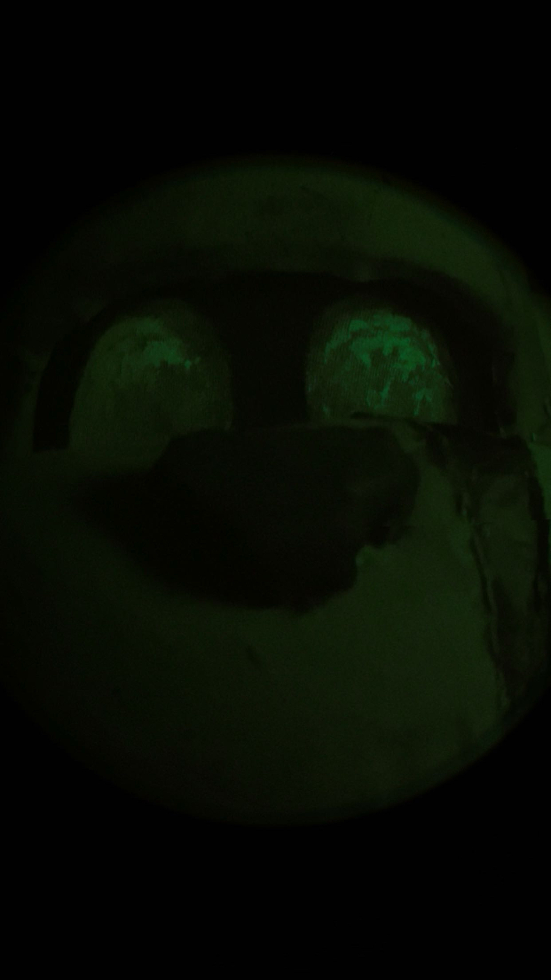 Greeeeeeennn — photo 5