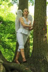 Angel (Tekken 2) preview 3