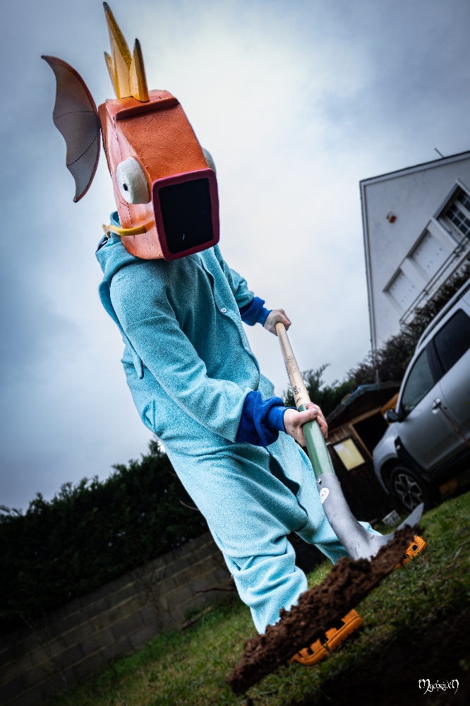 La plantation  - Photo 8