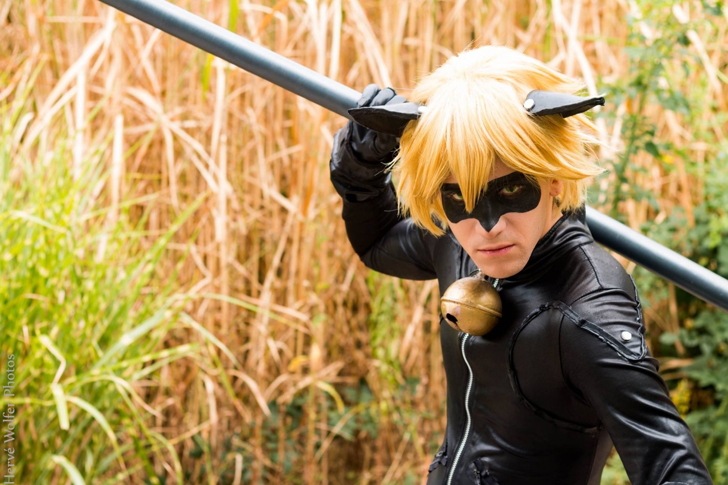 Chat Noir 02 — photo 6