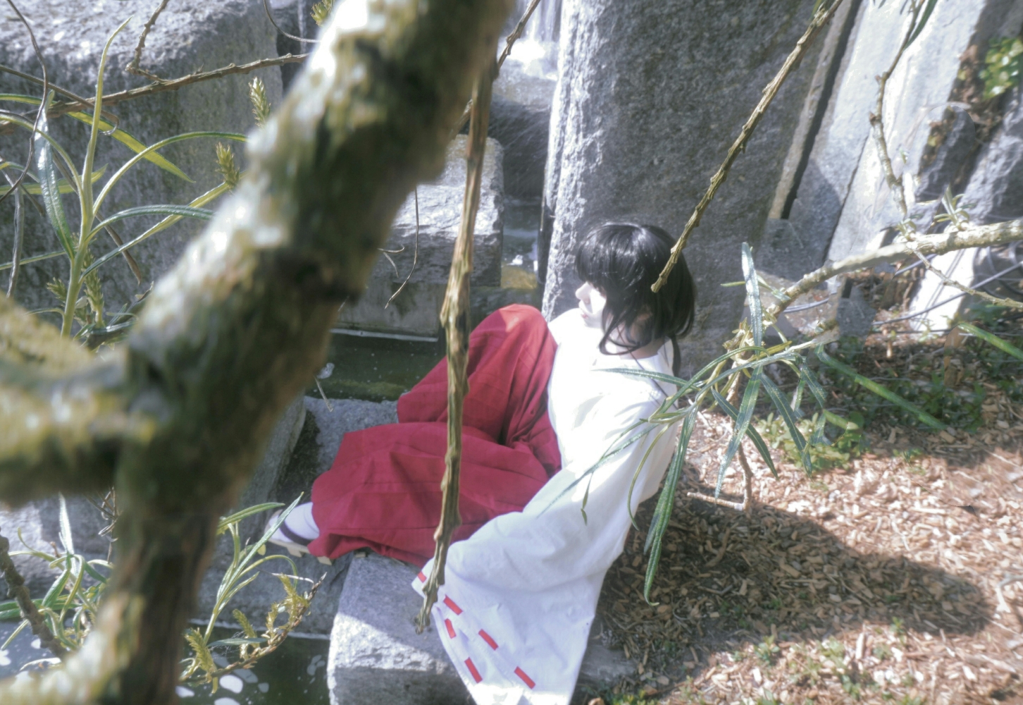Kikyo — photo 5