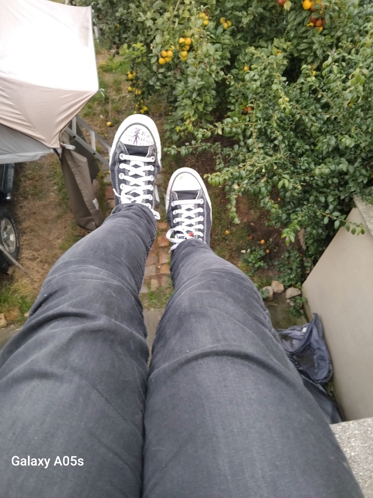 OC Lucia Woods - Photo 3