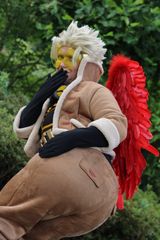 Hawks in park preview 2