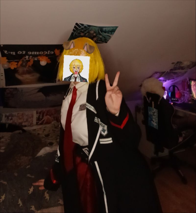 Laïka – Don quixote 