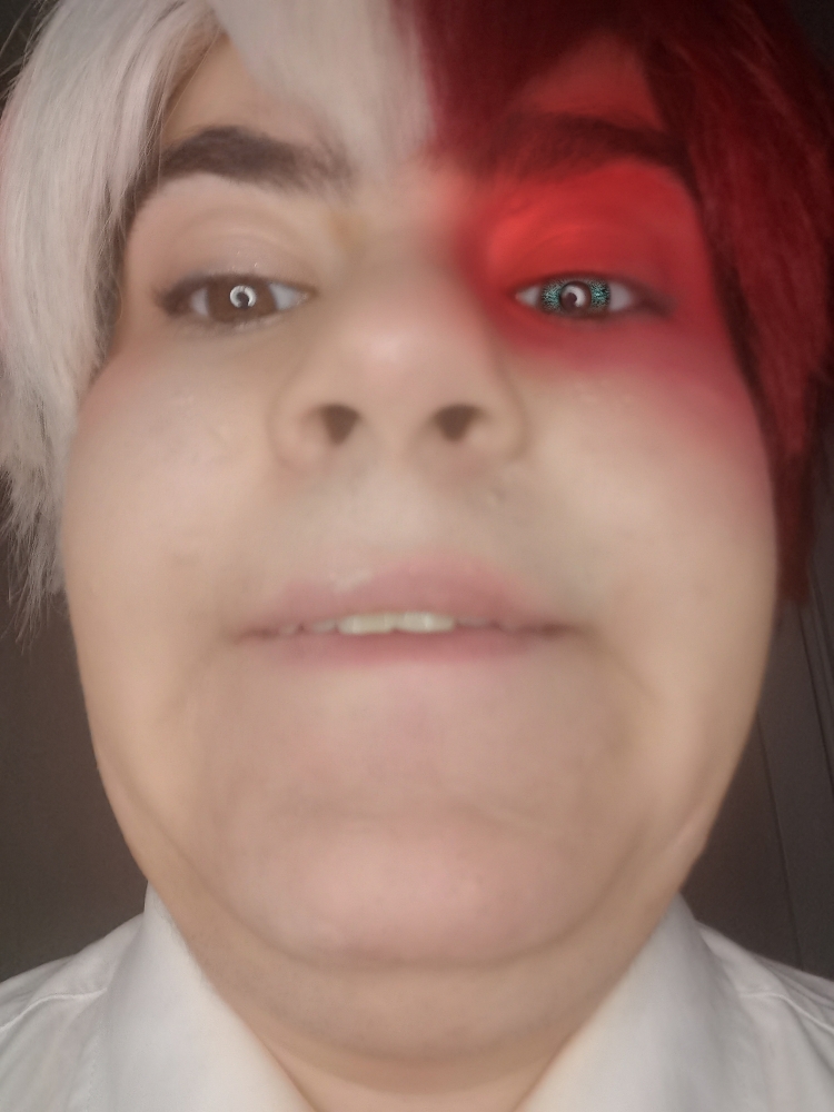 Shoto Todoroki - Photo 2