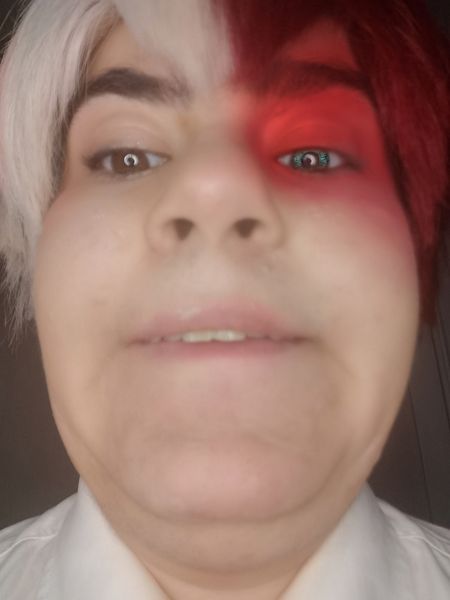 Petit_ornithorynque_, Shoto Todoroki