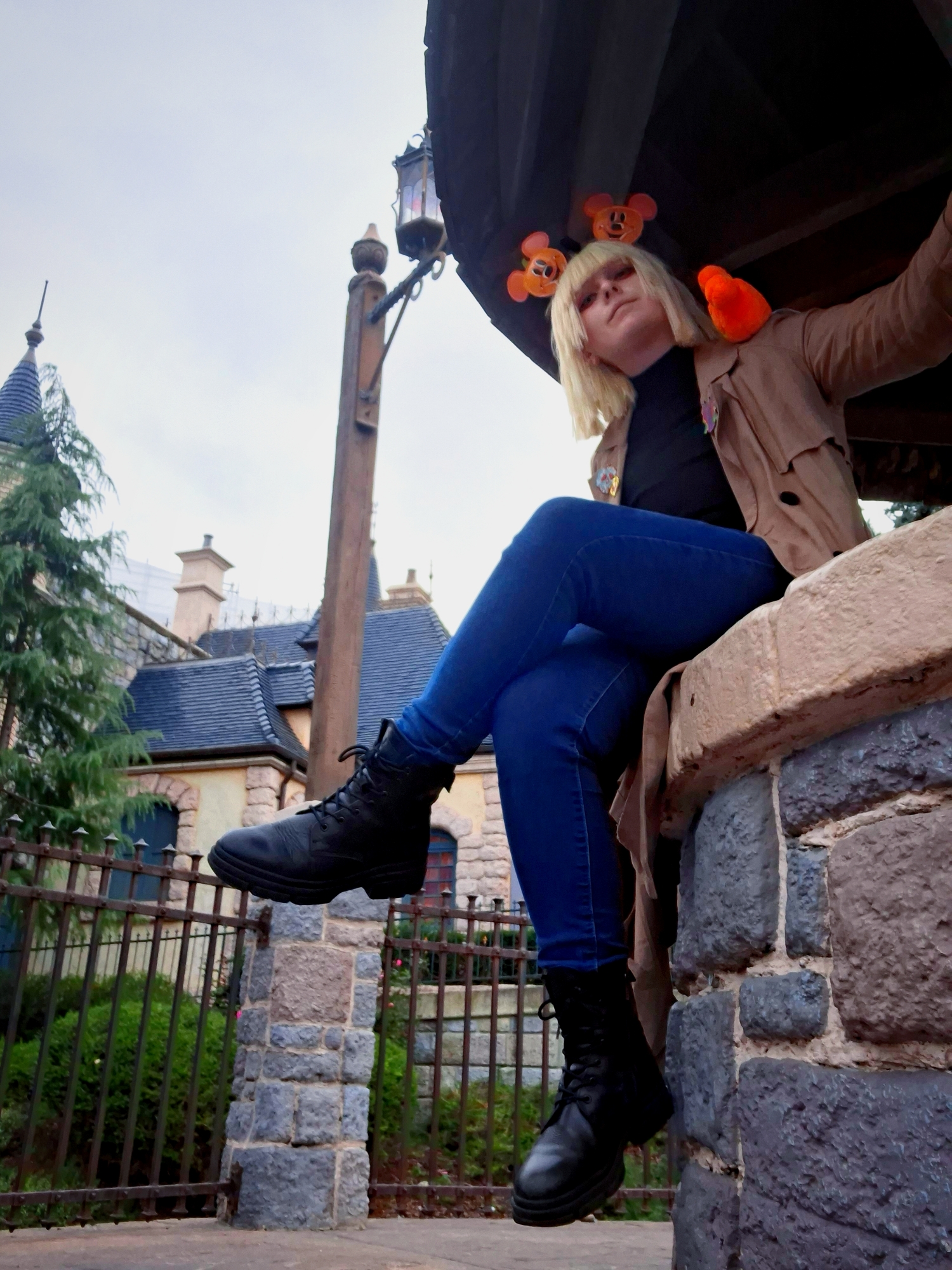 Rook at disneyland, photo 8