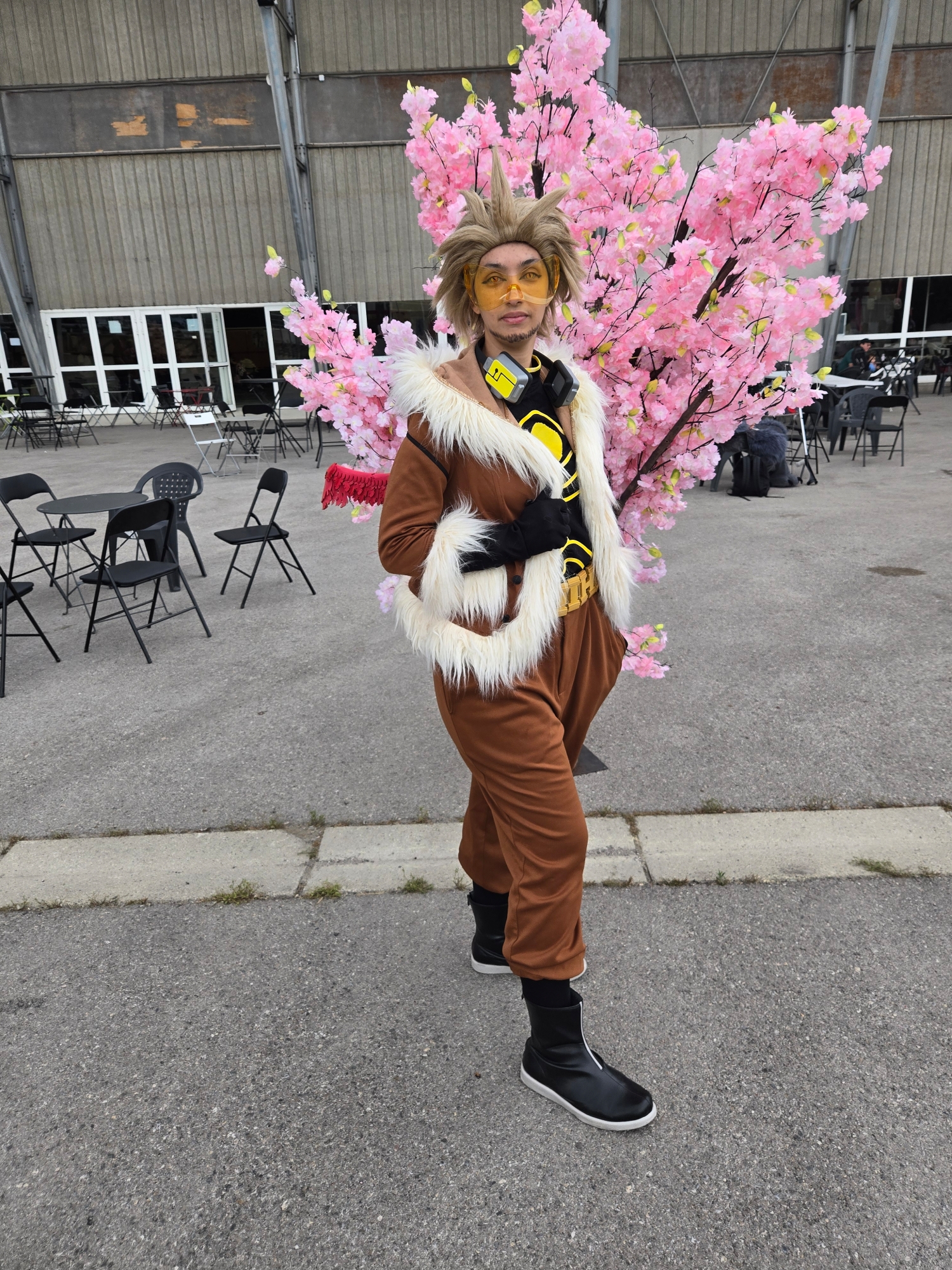 Hawks — photo 40