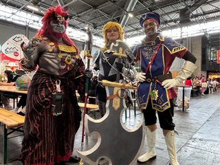 Link royal guard preview 2