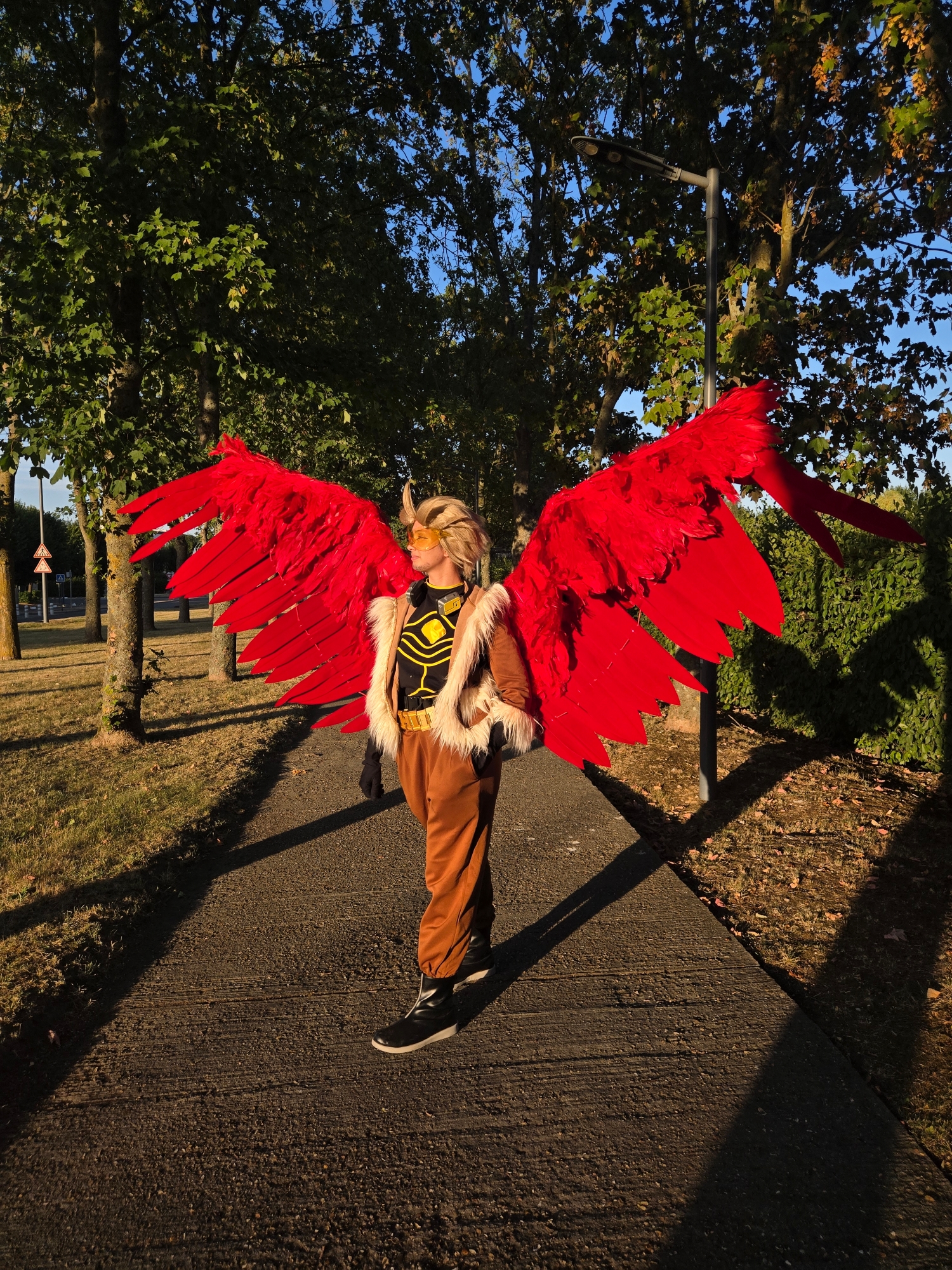 Hawks — photo 63