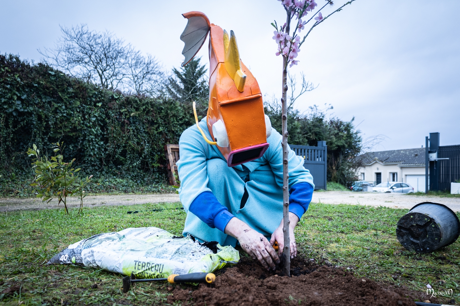 La plantation  - Photo 12