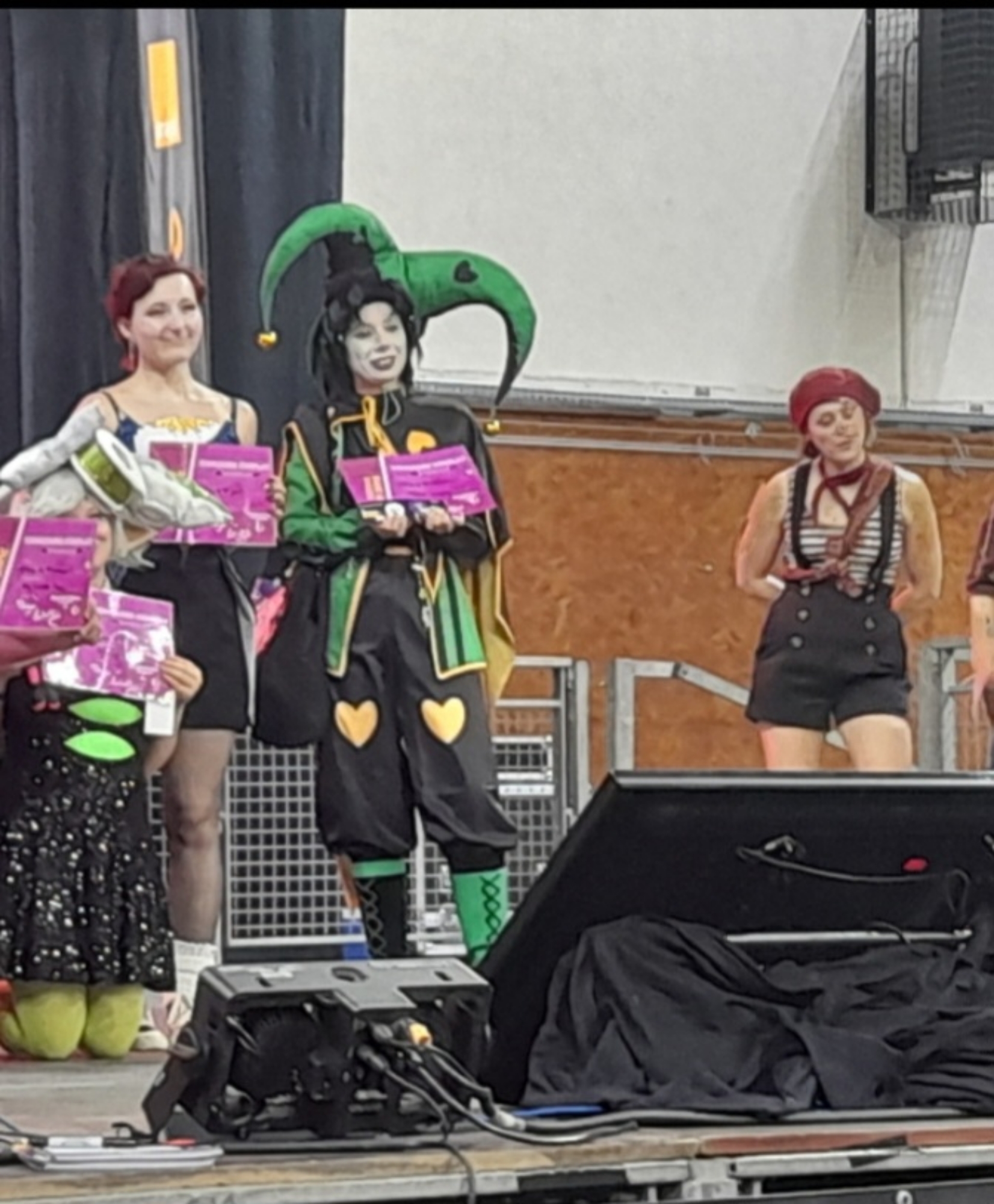 Harlequin — photo 7