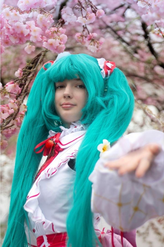 Hatsune Miku strawberry  - Photo 2