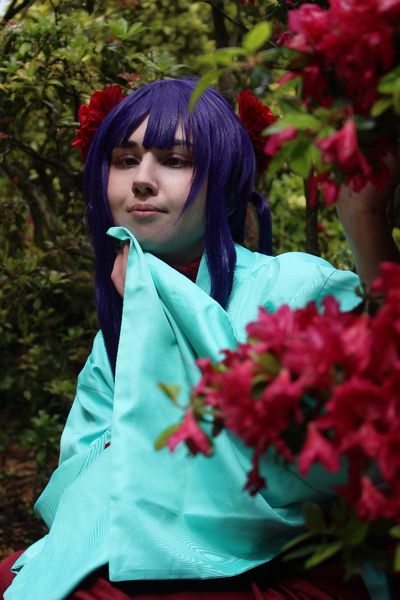 Wisteria - Aoi Akane (Thabor) 