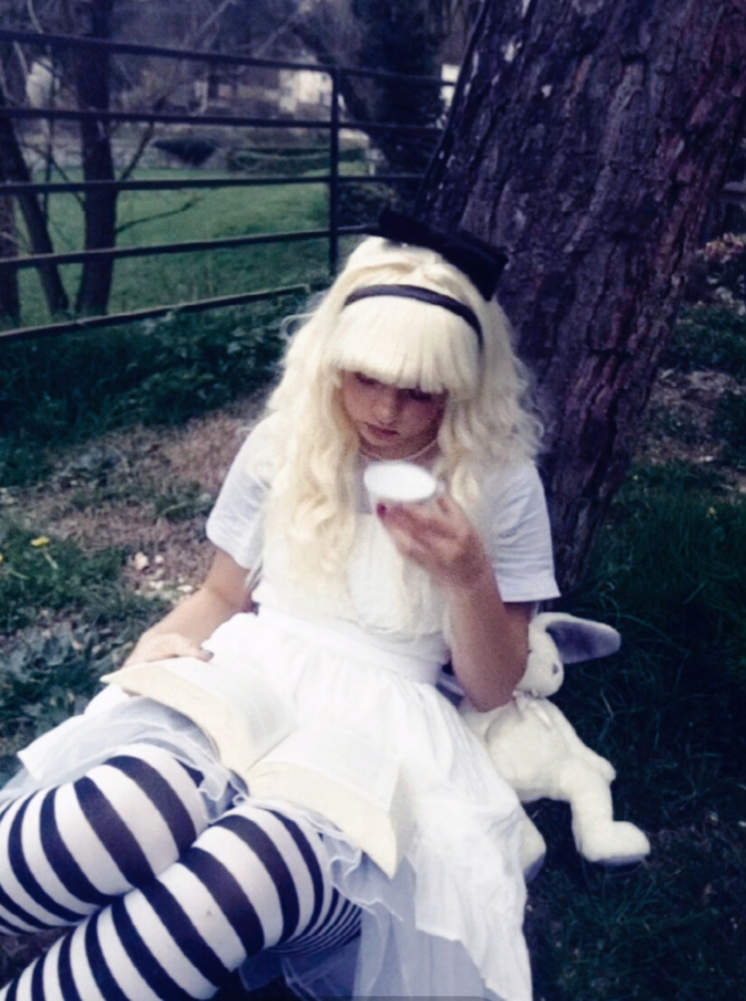 ALICE — photo 5