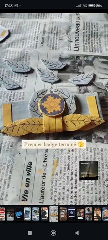 Craft badge/insigne