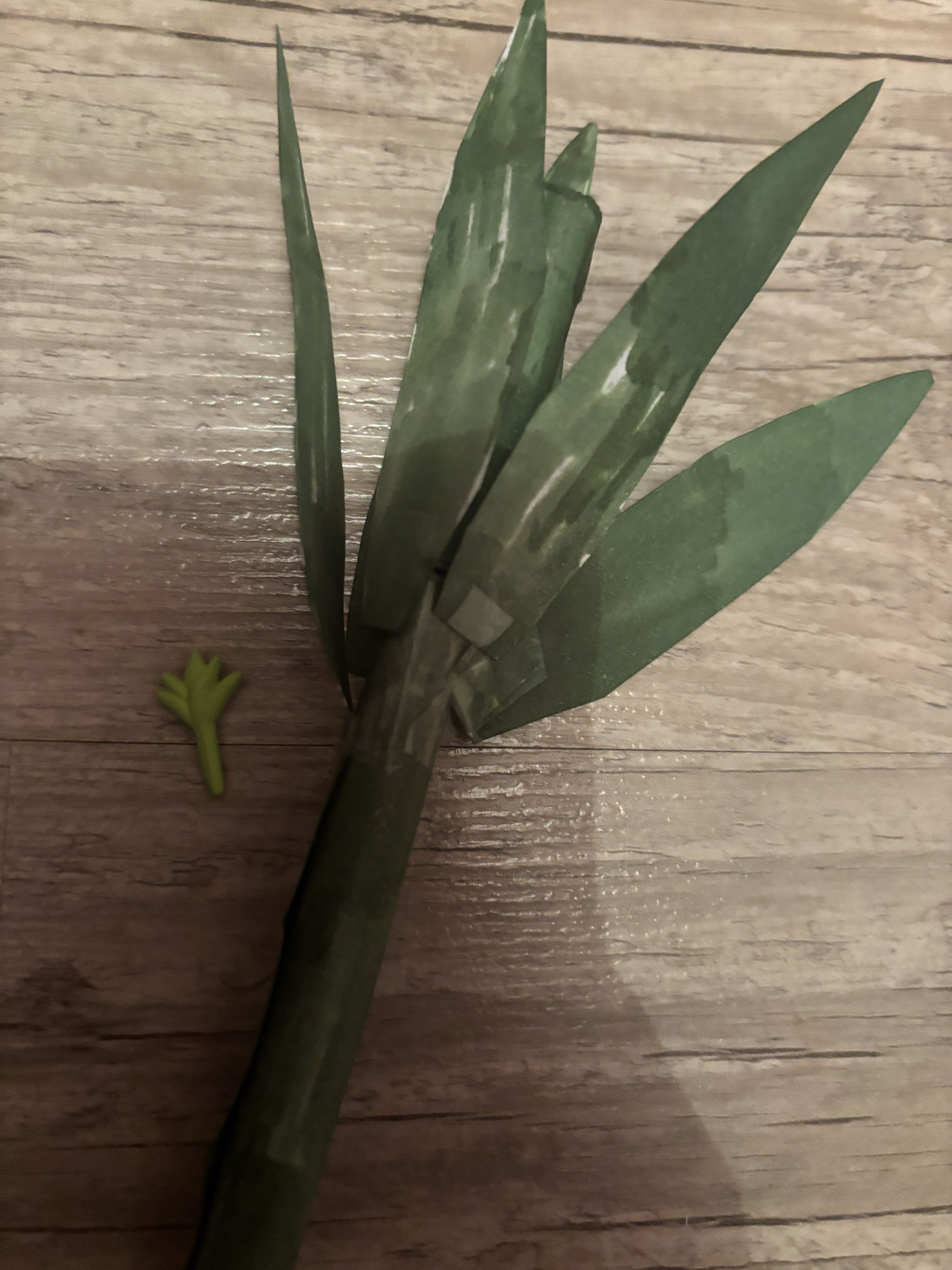 Plante (Mao Mao) - Photo 4