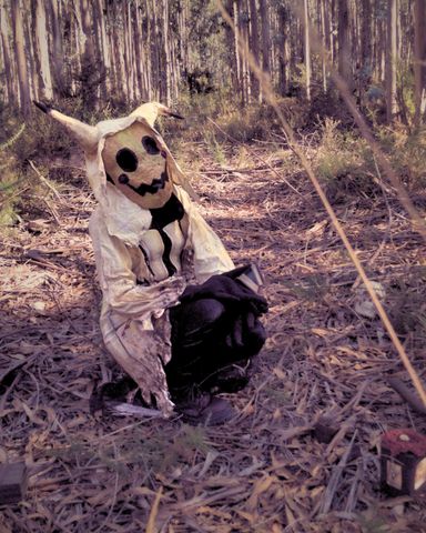 Mimikyu