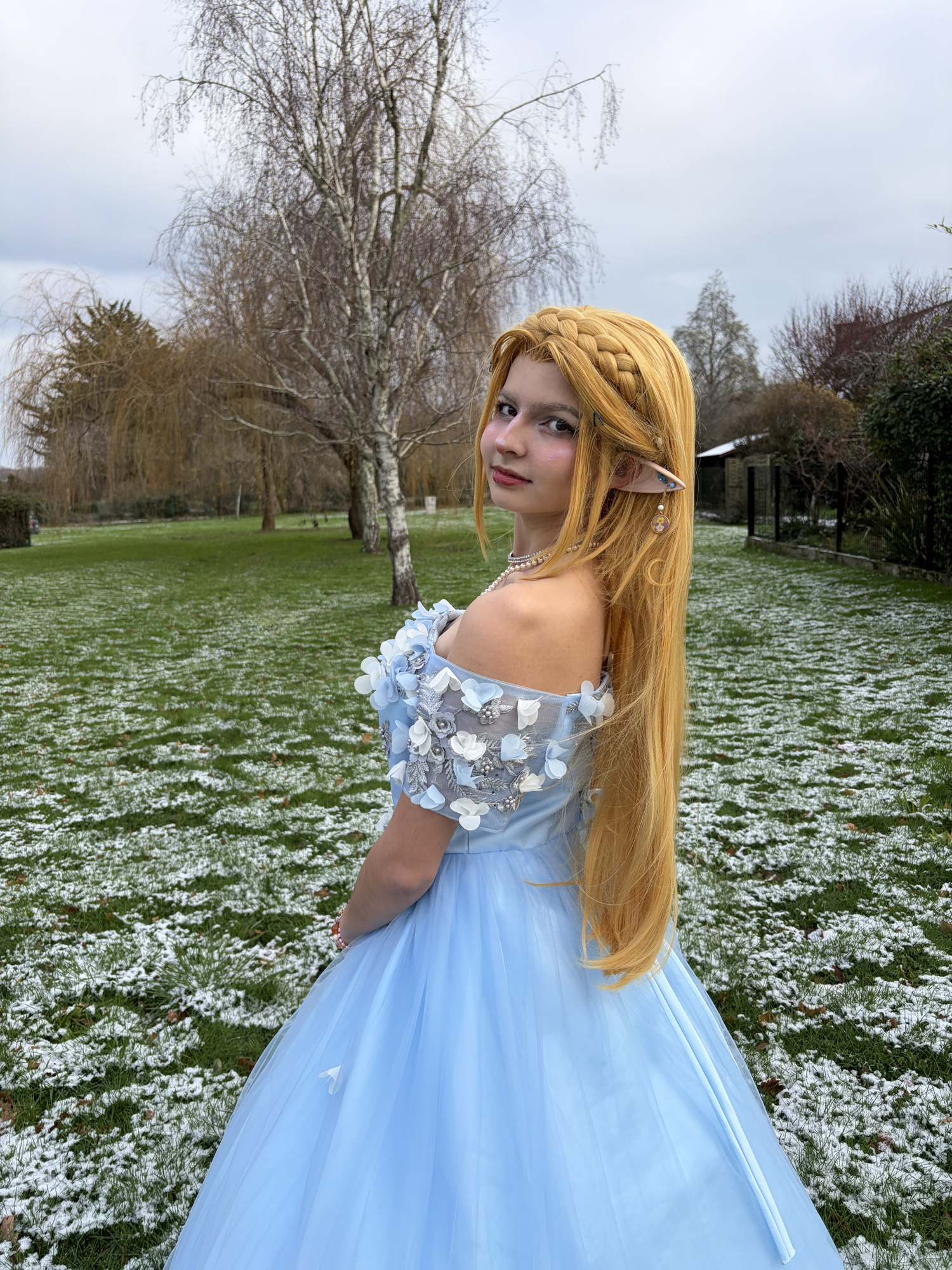 Zelda snow — photo 8