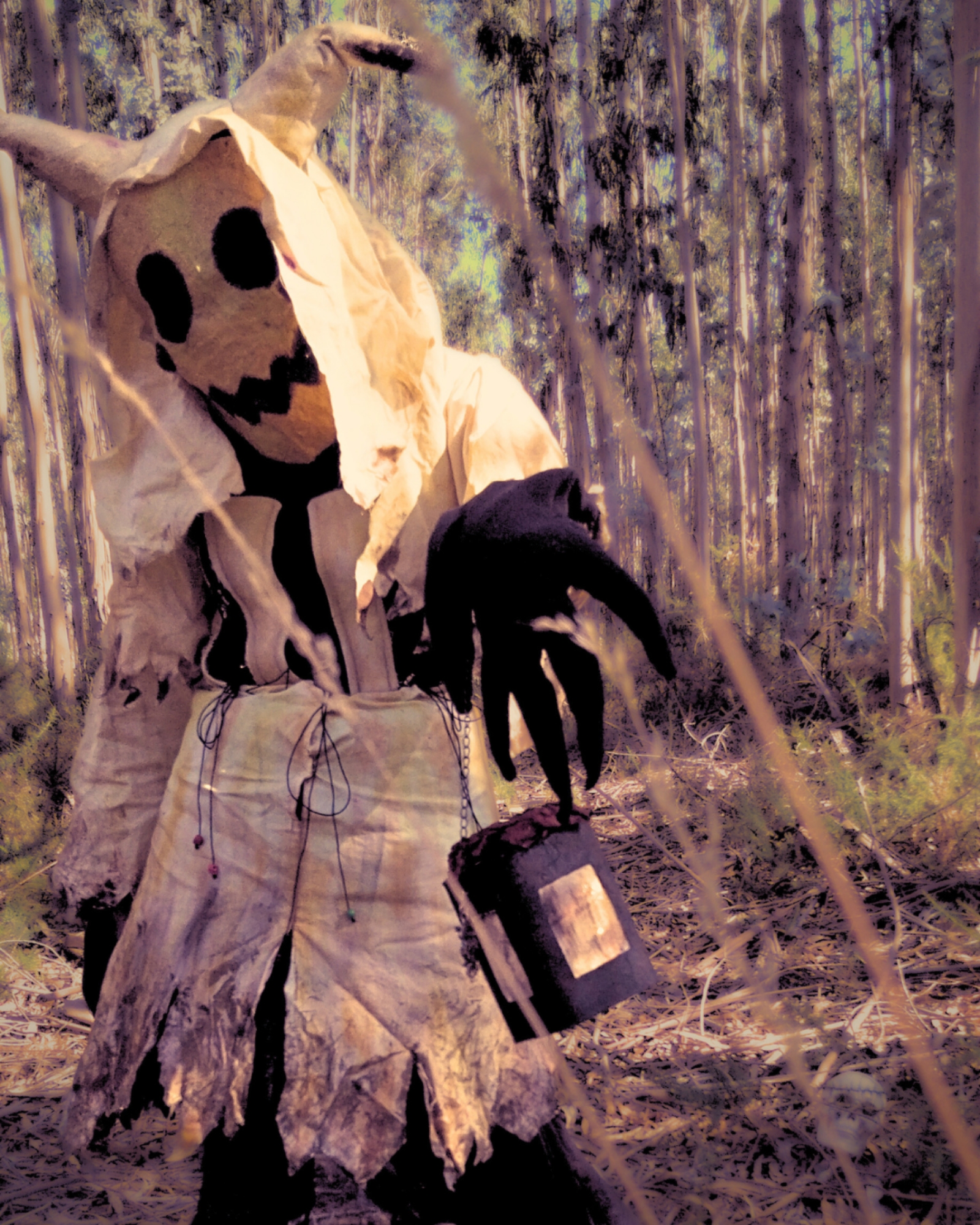 Mimikyu — photo 5