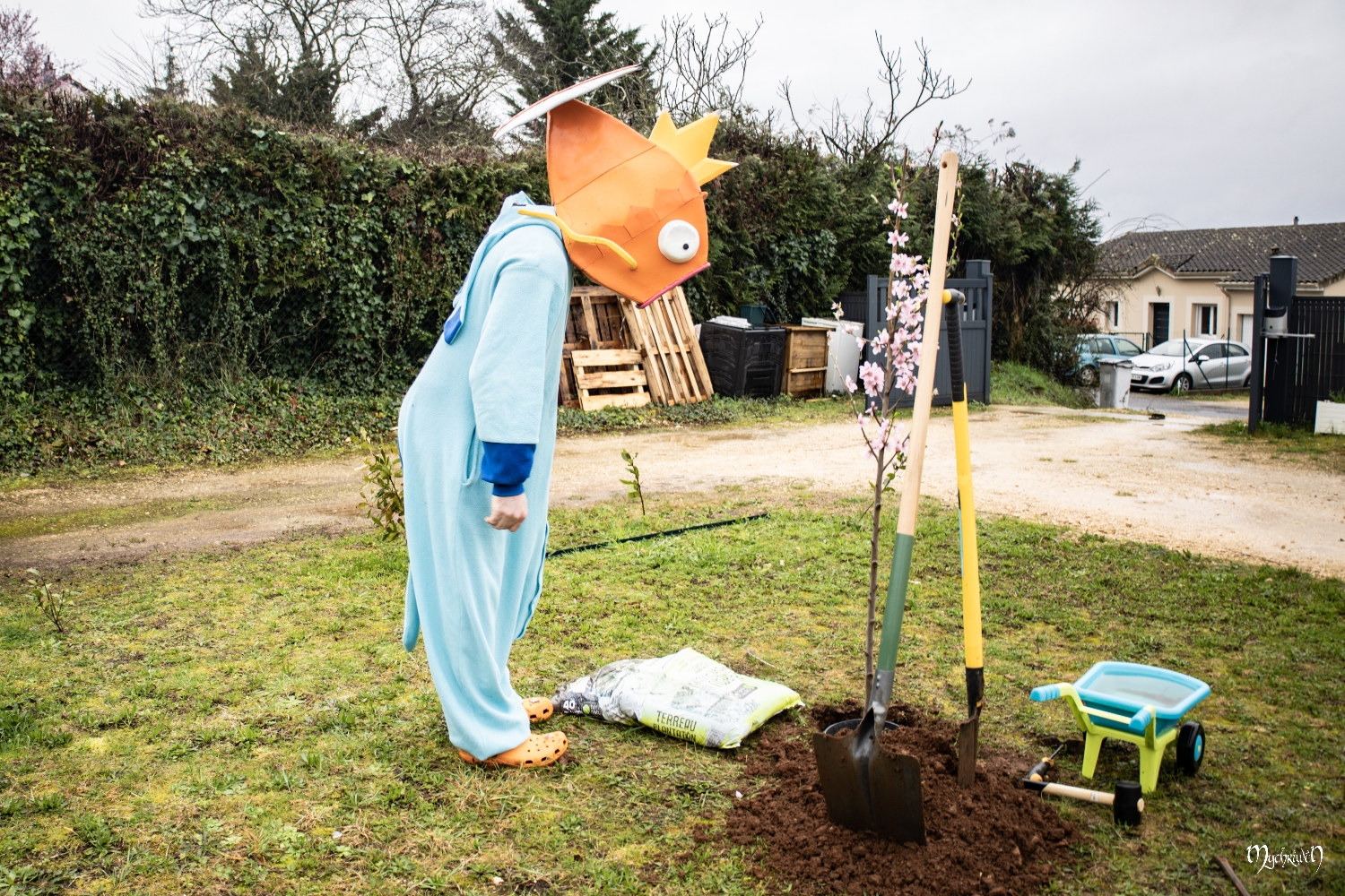 La plantation  - Photo 3