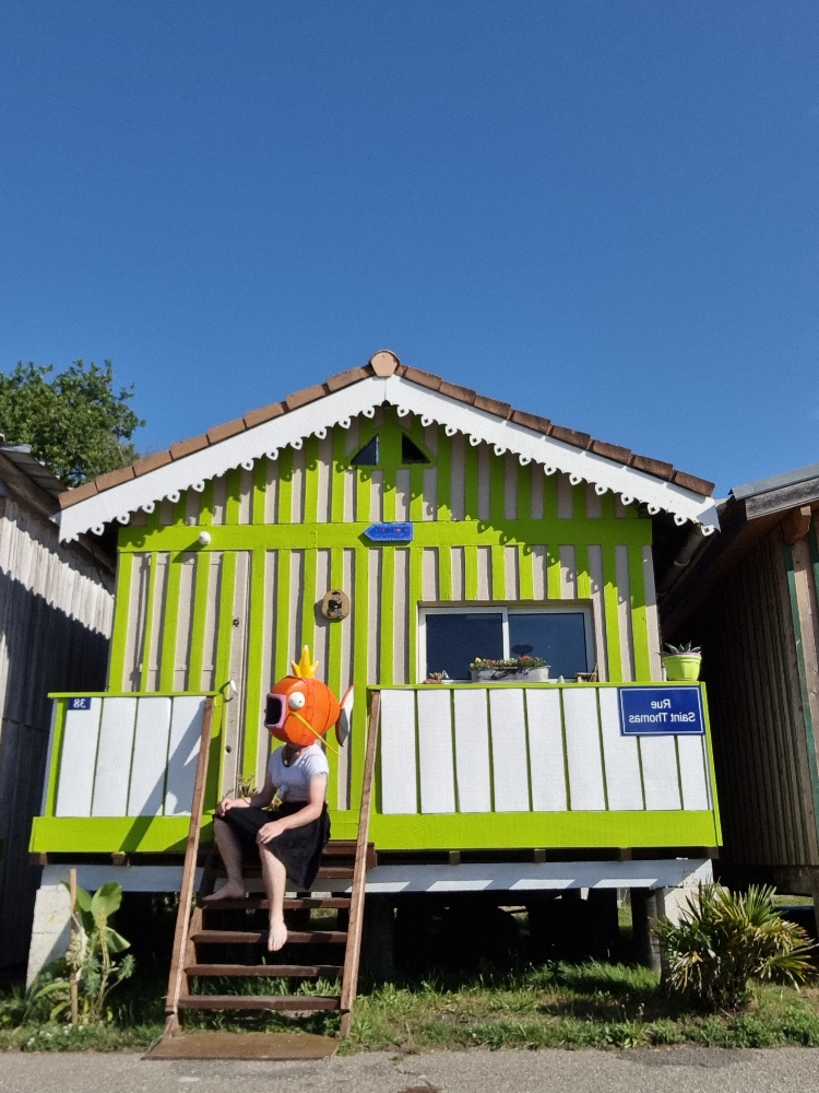 MagicarpettePortBiga - Photo 5