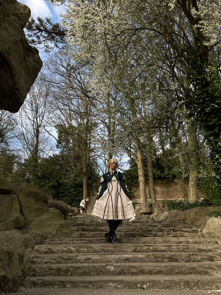 Violet evergardeen  - Photo 6