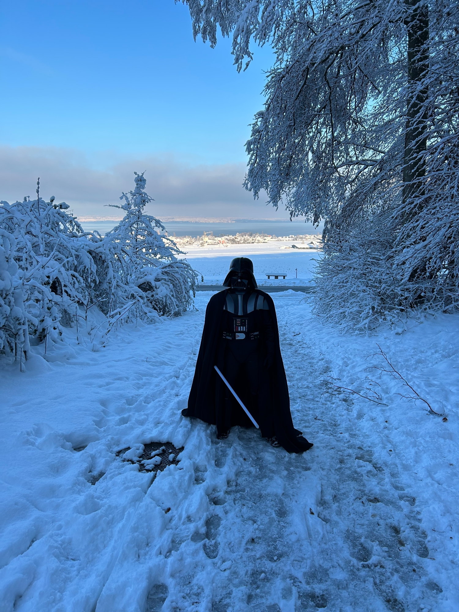 Snow Vader — photo 41