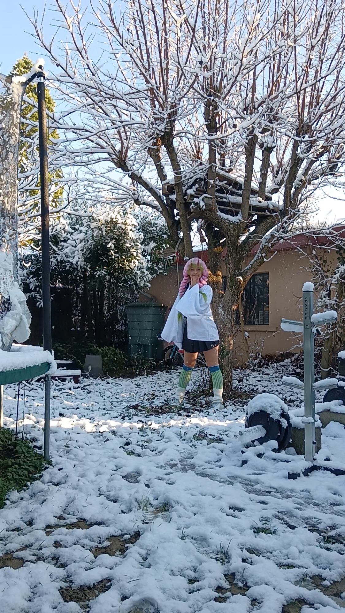 Mitsuri Kanroji - Photo 42