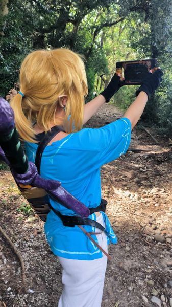 🦀crab🦀 - Link - Botw