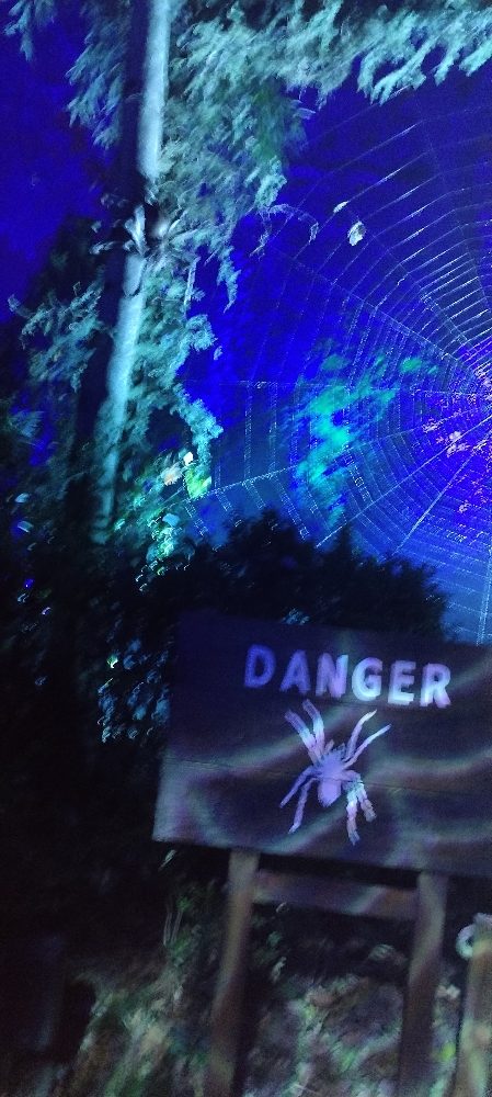 La forêt interdite - Photo 24