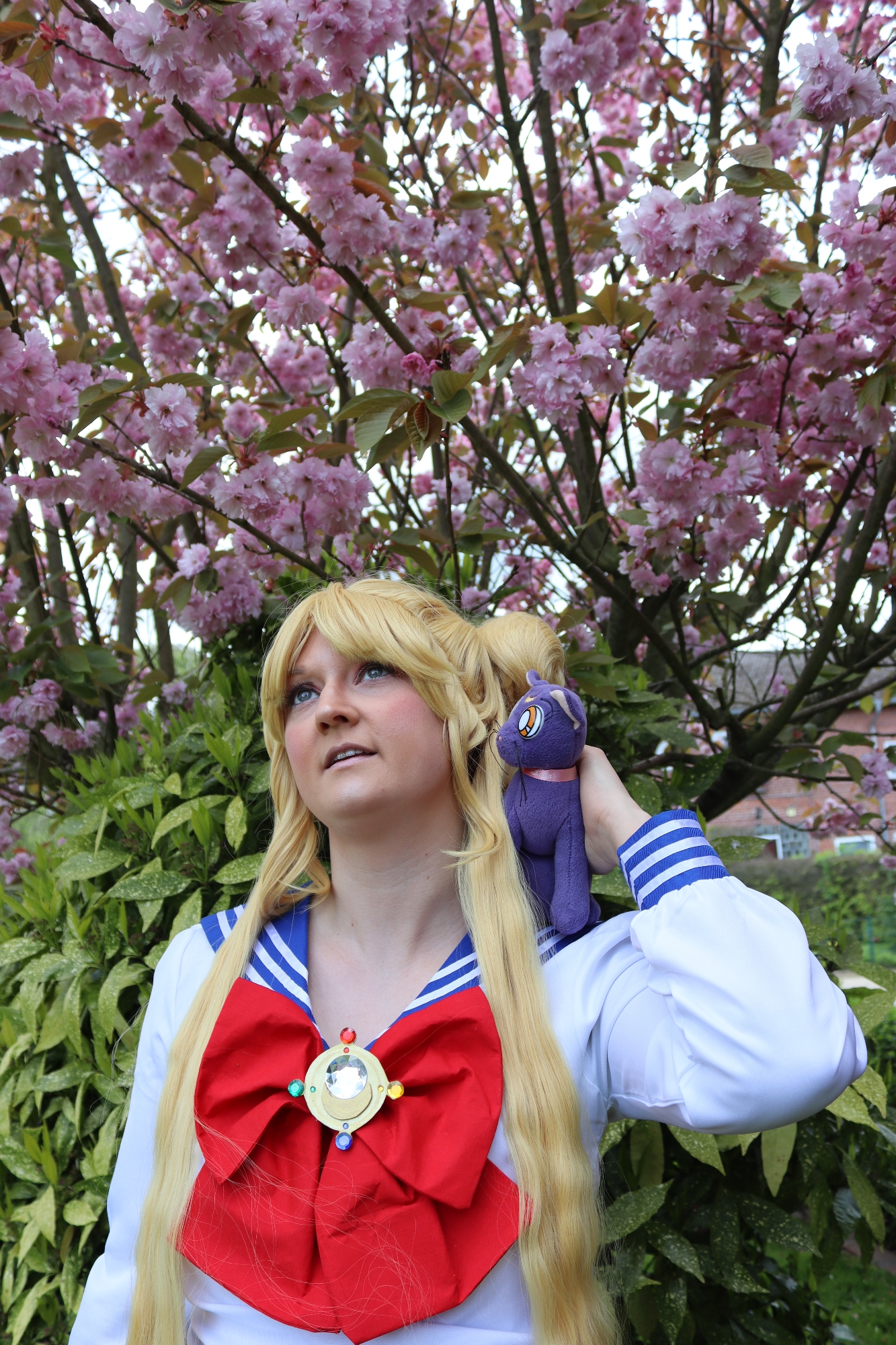Usagi Tsukino — photo 27