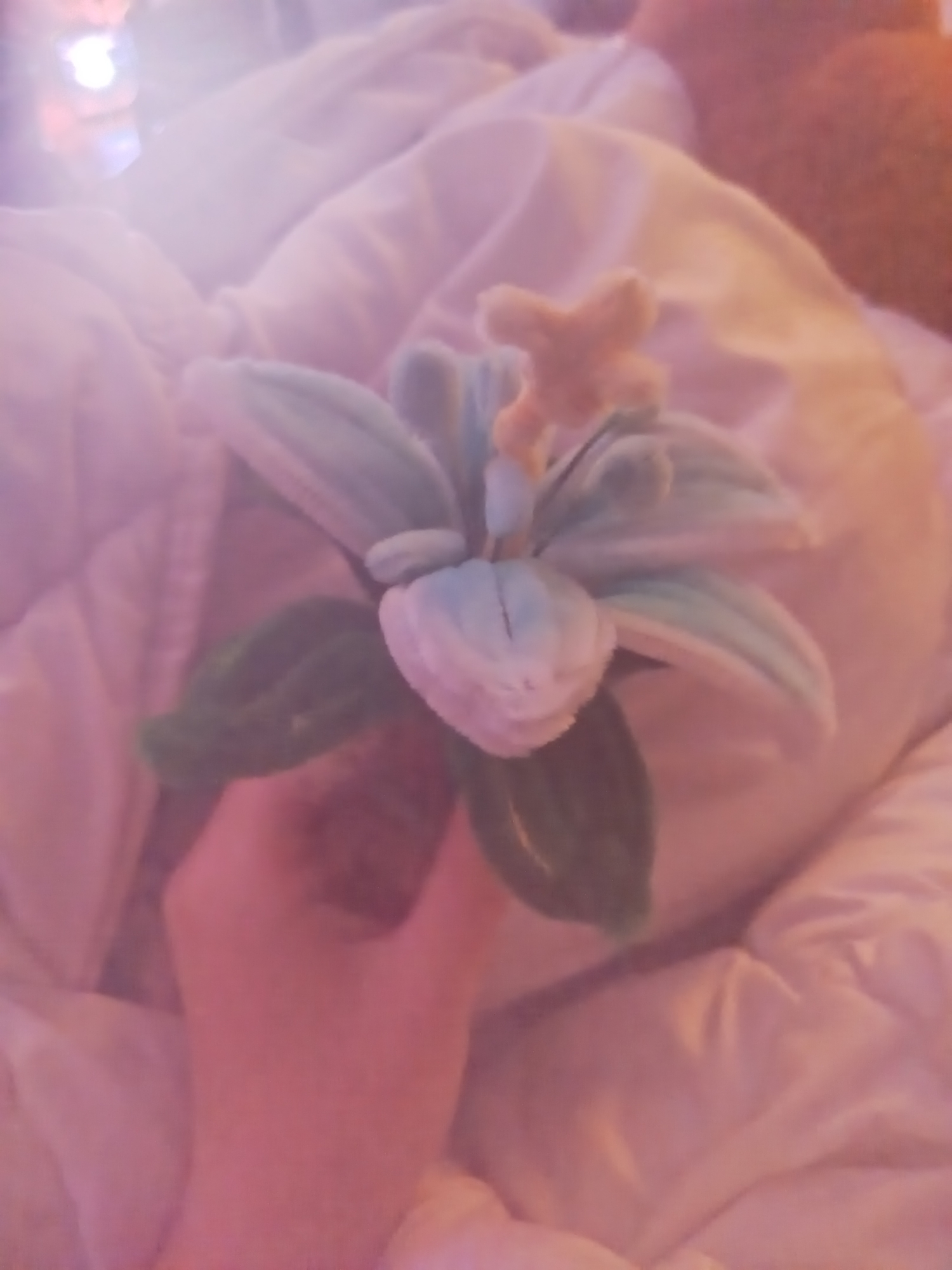 Props — photo 7