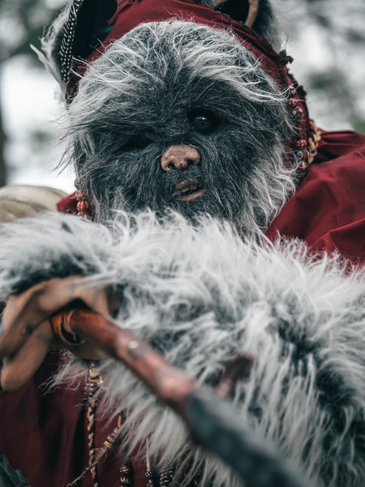 Forest Shooting - Photo 9