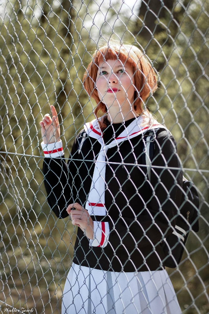 Sakura — photo 8