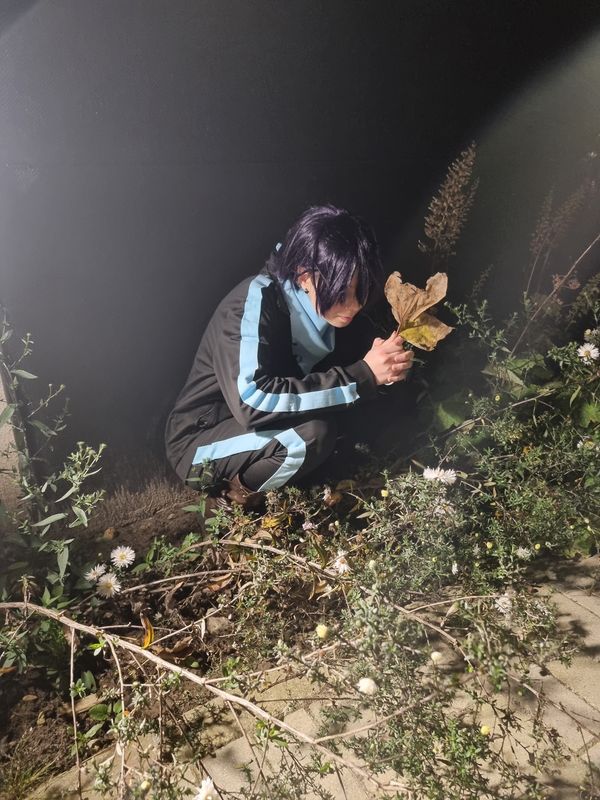 Tako – Yato fun pics