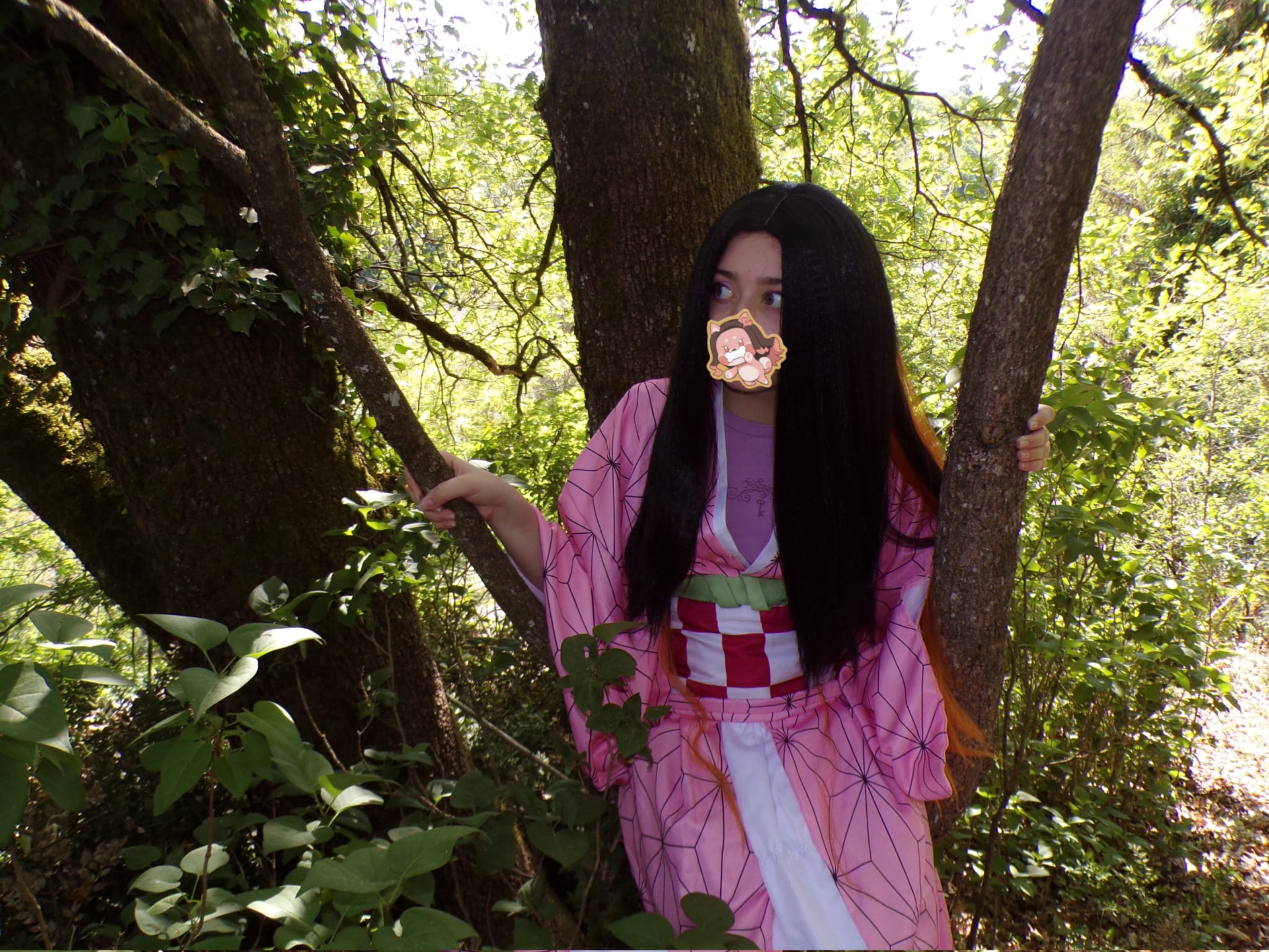 Nezuko — photo 14